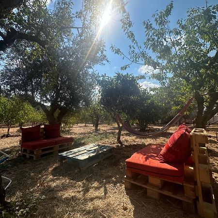 B&B Villa Tiziana Monopoli Eksteriør billede