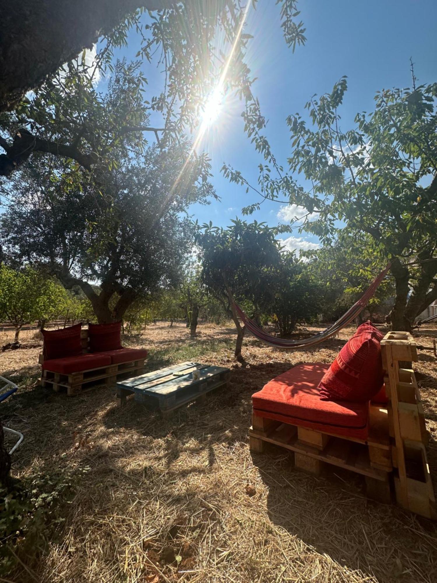 B&B Villa Tiziana Monopoli Eksteriør billede